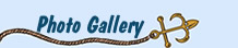 Schooner Grand Nellie Photo Gallery Schooner Grand Nellie Photo Gallery